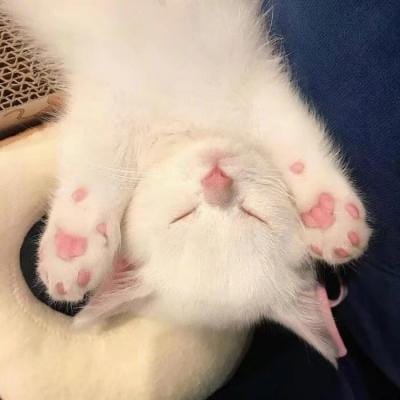 Lê Văn Thành avatar