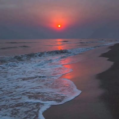 Phạm Thu Thủy avatar